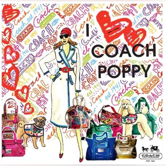 Coach - All Coach Bags, Wallets, & Wristlets - Picture 7 of 16